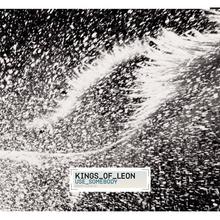 Kings Of Leon - Use Somebody
