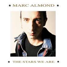 Marc Almond - Tears Run Rings