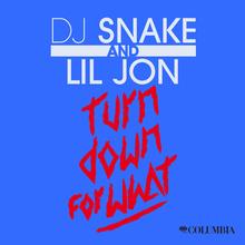 DJ SNAKE FT LIL JON - TURN DOWN FOR WHAT
