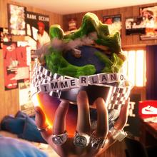 RIN - BIETIGHEIMICATION