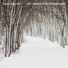 Liam Payne - All I Want (For Christmas)
