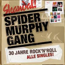 Spider Murphy Gang - Ich Schau Dich An