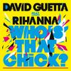 David Guetta & Rihanna - Who's That Chick?
