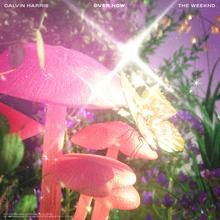 CALVIN HARRIS & THE WEEKND - OVER NOW