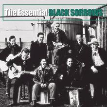 Black Sorrows - Stir It Up