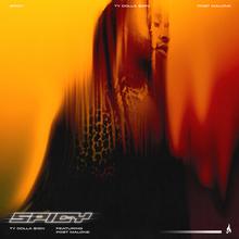 TY DOLLA $IGN FT POST MALONE - SPICY