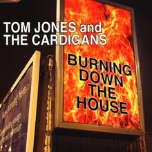 Tom Jones and The Cardigans - Burning Down The House
