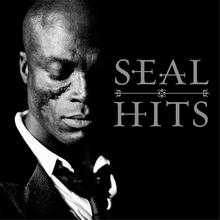 Seal - Amazing
