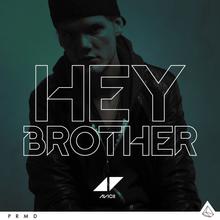 Avicii - Hey Brother