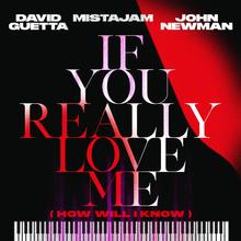 DAVID GUETTA X MISTAJAM X JOHN NEWMAN - IF YOU REALLY LOVE ME (HOW WILL I KNOW)