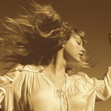 Taylor Swift - You Belong With Me