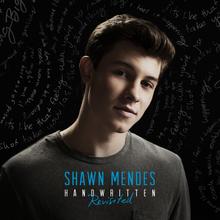 Shawn Mendes - Stitches