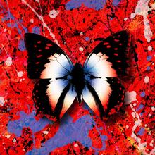 ED SHEERAN FT LIL BABY - 2STEP