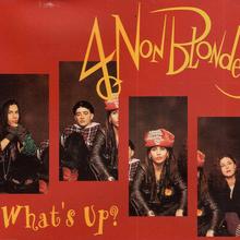 4 Non Blondes - What's Up