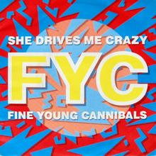Fine Young Cannibals - She Drives Me Crazy