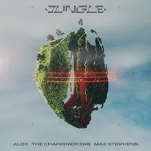 Alok x The Chainsmokers x Mae Stephens - Jungle