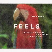 CALVIN HARRIS FT PHARRELL WILLIAMS, KATY PERRY & BIG SEAN - FEELS