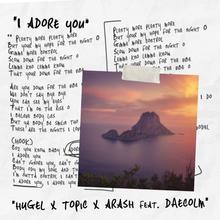 HUGEL, Topic, Arash feat. Daecolm - I Adore You