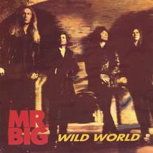 Mr. Big - Wild World