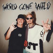 ROBIN SCHULZ & CYRIL FT SAM MARTIN - WORLD GONE WILD
