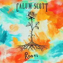 Calum Scott - Roots - Acoustic Version