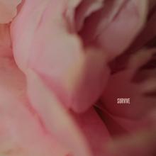 Lewis Capaldi - Survive