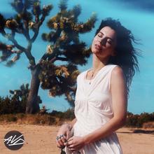 Amber Van Day - The Secret