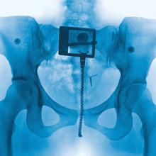 Lorde - Favourite Daughter