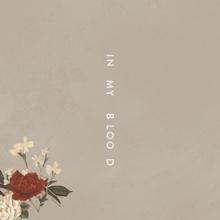SHAWN MENDES - IN MY BLOOD
