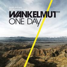 Asaf Avidan - One Day (Reckoning Song) (WANKELMUT RMX)