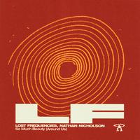 Lost frequencies & nathan nicholson - So much beauty (around us)