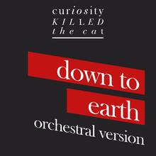 Curiosity Killed The Cat - Down To Earth