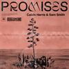 Calvin Harris feat. Sam Smith - Promises