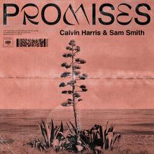 Calvin Harris feat. Sam Smith - Promises