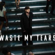James Arthur - Waste My Tears