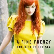 A Fine Frenzy - Almost Lover