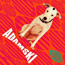 Adamski feat. Seal - Killer