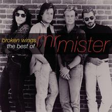 Mr. Mister - Broken Wings
