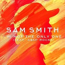 Sam Smith - I'm Not The Only One