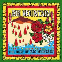 Big Mountain - Baby I Love Your Way