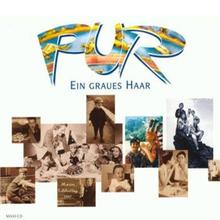 Pur - Ein graues Haar