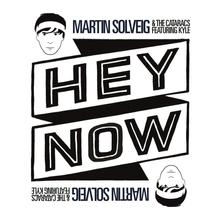 Martin Solveig & The Cataracs feat. Kyle - Hey Now