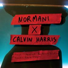 Normani x Calvin Harris - Slow Down