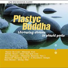 Plastyc Buddha - Rhodes Royce