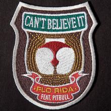 FLO RIDA FT PITBULL - CANT BELIEVE IT