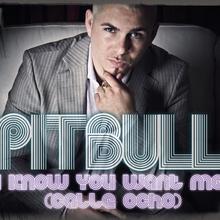 Pitbull - I know you want me (Calle Ocho)