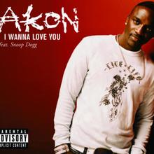 Akon feat. Snoop Dogg - I Wanna Love You