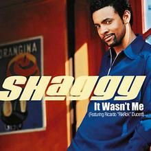 Shaggy - It Wasnt Me