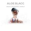 Aloe Blacc - What A Wonderful World