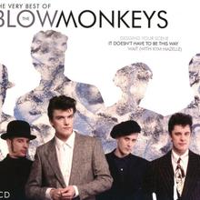 Blow Monkeys - Digging Your Scene
